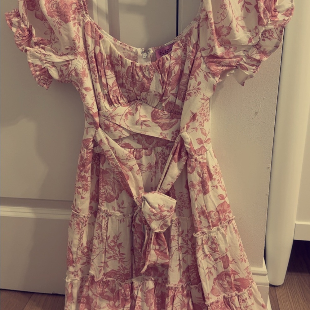 Francesca's Collections Pink and Cream Floral Dress